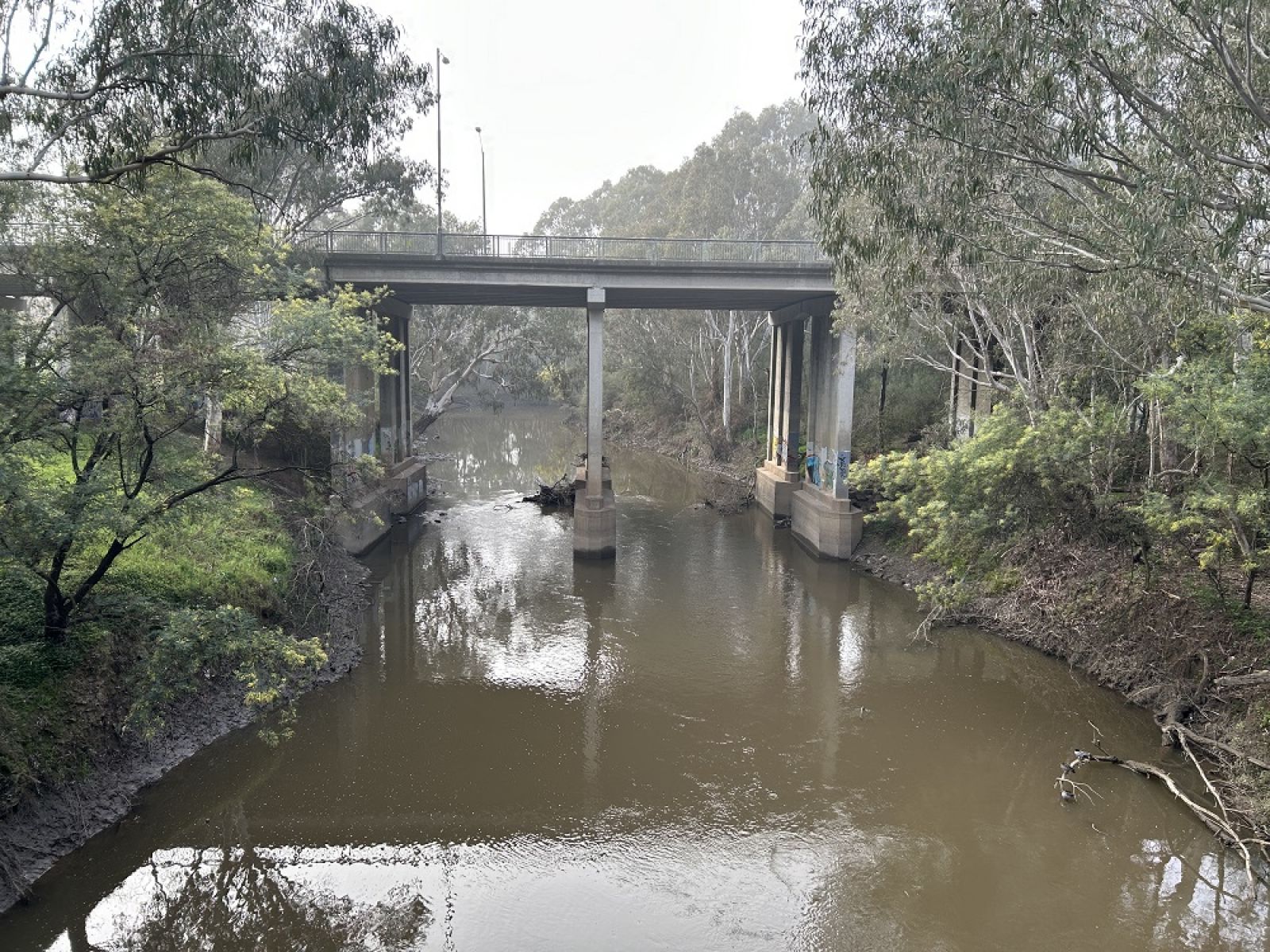 A view of Birrarung (Yarra River) near Ivanhoe with cement bridge