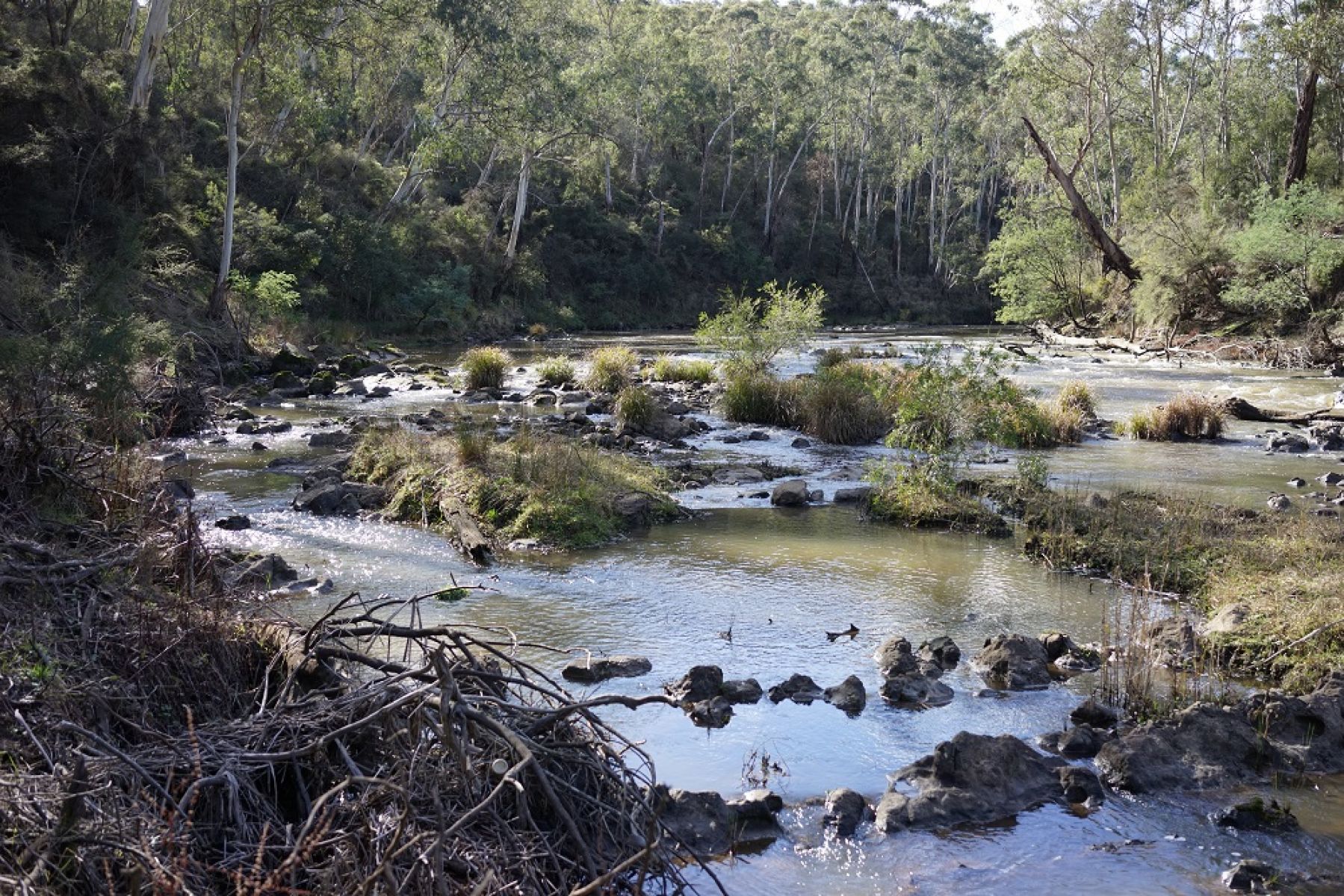 View of the River across rocky grassed islands