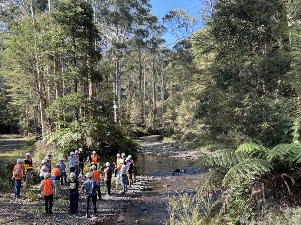 Council members visiting the upper catchment of Birrarung (Yarra River)