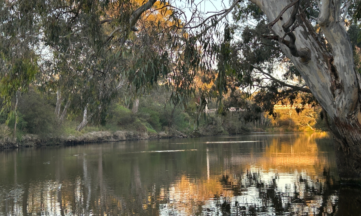 Birrarung, Suburban reach