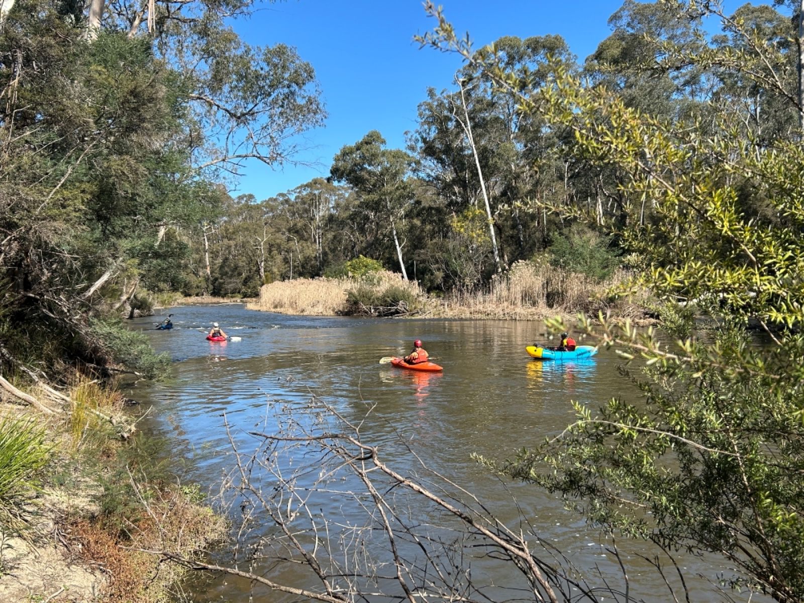 people canoeing at Mount Lofty 